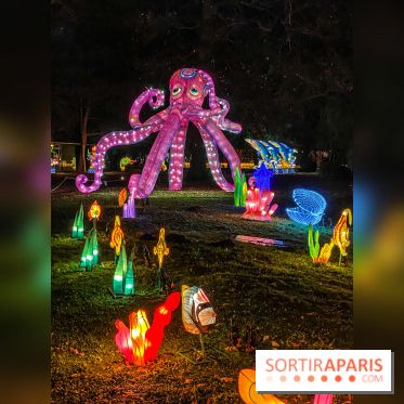 Odyssée Lumineuse, le festival des lumières au Parc Floral - IMG 2391
