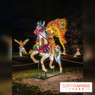 Odyssée Lumineuse, le festival des lumières au Parc Floral - IMG 2392