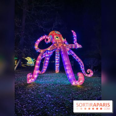 Odyssée Lumineuse, le festival des lumières au Parc Floral