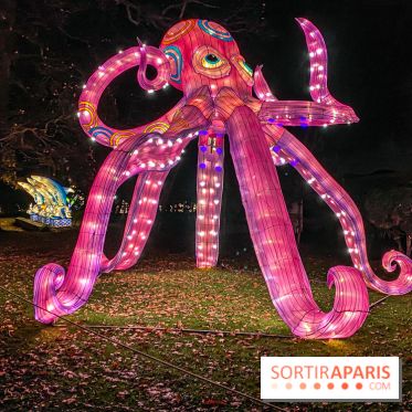 Odyssée Lumineuse, le festival des lumières au Parc Floral