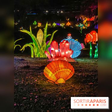 Odyssée Lumineuse, le festival des lumières au Parc Floral - IMG 2395