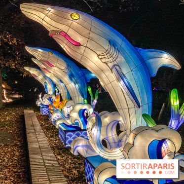Odyssée Lumineuse, le festival des lumières au Parc Floral - IMG 2399