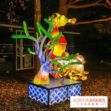 Odyssée Lumineuse, le festival des lumières au Parc Floral - IMG 2401