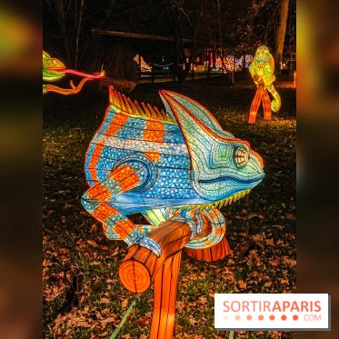 Odyssée Lumineuse, le festival des lumières au Parc Floral - IMG 2402