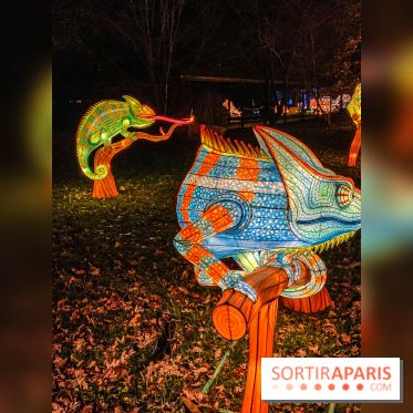 Odyssée Lumineuse, le festival des lumières au Parc Floral - IMG 2404