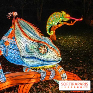 Odyssée Lumineuse, le festival des lumières au Parc Floral - IMG 2406