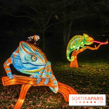 Odyssée Lumineuse, le festival des lumières au Parc Floral