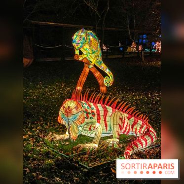 Odyssée Lumineuse, le festival des lumières au Parc Floral