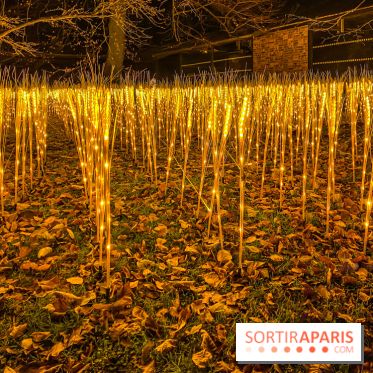 Odyssée Lumineuse, le festival des lumières au Parc Floral - IMG 2411