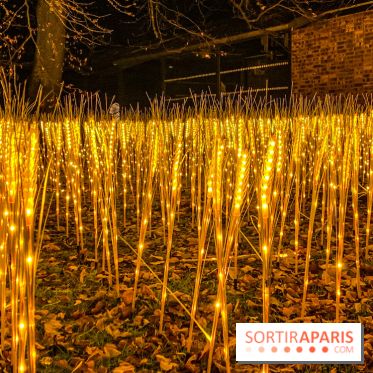 Odyssée Lumineuse, le festival des lumières au Parc Floral