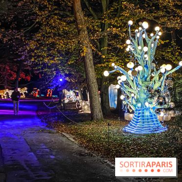 Odyssée Lumineuse, le festival des lumières au Parc Floral