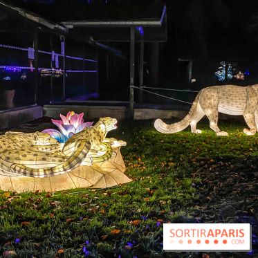 Odyssée Lumineuse, le festival des lumières au Parc Floral