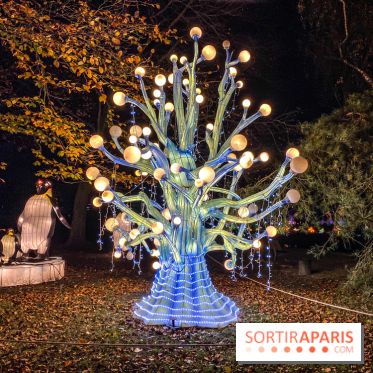 Odyssée Lumineuse, le festival des lumières au Parc Floral