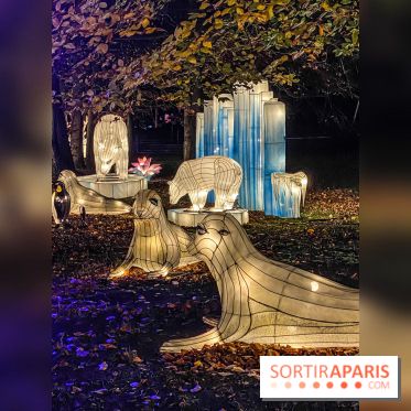 Odyssée Lumineuse, le festival des lumières au Parc Floral - IMG 2418