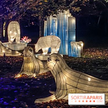Odyssée Lumineuse, le festival des lumières au Parc Floral - IMG 2419