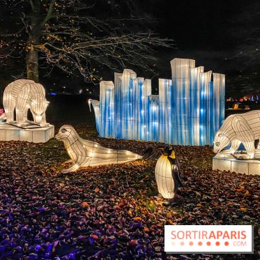 Odyssée Lumineuse, le festival des lumières au Parc Floral - IMG 2420
