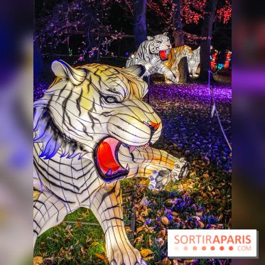 Odyssée Lumineuse, le festival des lumières au Parc Floral