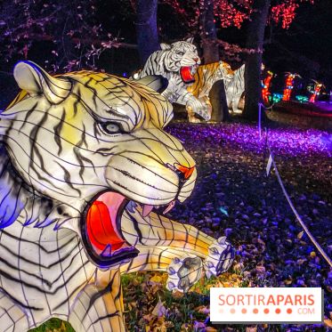 Odyssée Lumineuse, le festival des lumières au Parc Floral - IMG 2423