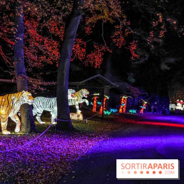 Odyssée Lumineuse, le festival des lumières au Parc Floral