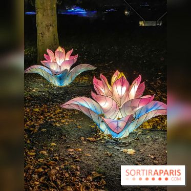 Odyssée Lumineuse, le festival des lumières au Parc Floral - IMG 2426