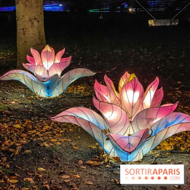 Odyssée Lumineuse, le festival des lumières au Parc Floral - IMG 2427
