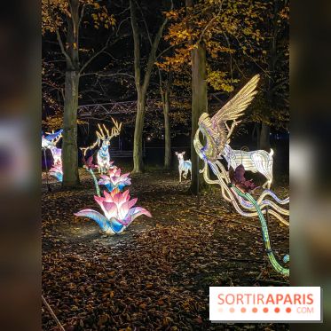 Odyssée Lumineuse, le festival des lumières au Parc Floral - IMG 2428