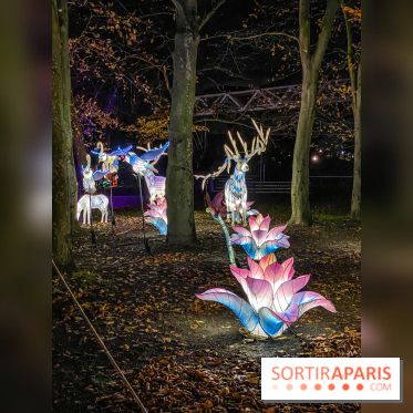 Odyssée Lumineuse, le festival des lumières au Parc Floral