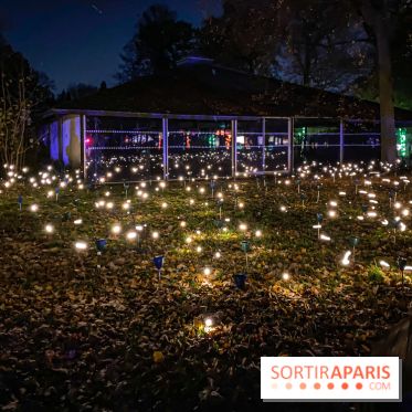 Odyssée Lumineuse, le festival des lumières au Parc Floral - IMG 2431