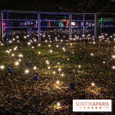 Odyssée Lumineuse, le festival des lumières au Parc Floral