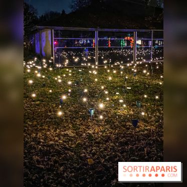 Odyssée Lumineuse, le festival des lumières au Parc Floral - IMG 2433