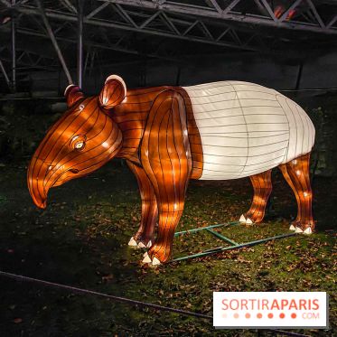 Odyssée Lumineuse, le festival des lumières au Parc Floral - IMG 2434