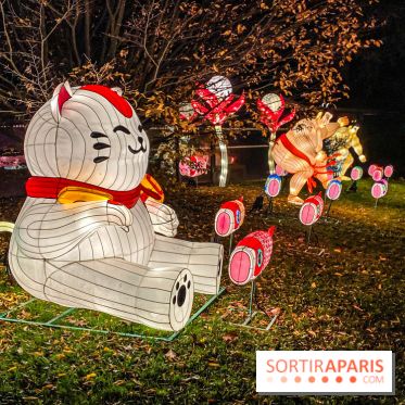 Odyssée Lumineuse, le festival des lumières au Parc Floral - IMG 2436