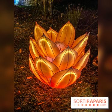 Odyssée Lumineuse, le festival des lumières au Parc Floral - IMG 2441