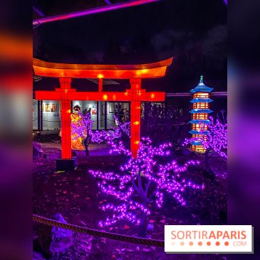 Odyssée Lumineuse, le festival des lumières au Parc Floral - IMG 2443