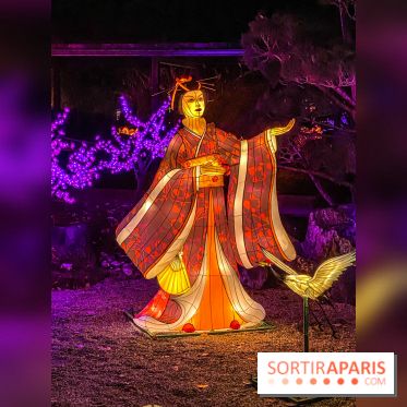 Odyssée Lumineuse, le festival des lumières au Parc Floral - IMG 2447