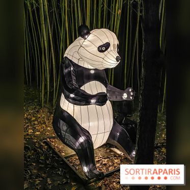 Odyssée Lumineuse, le festival des lumières au Parc Floral - IMG 2448