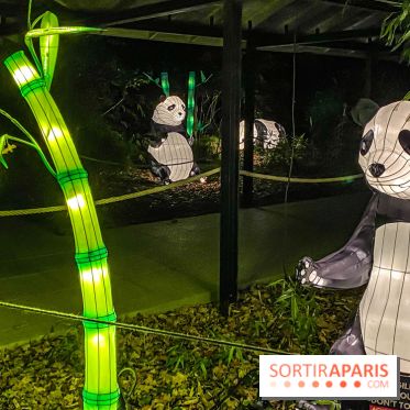 Odyssée Lumineuse, le festival des lumières au Parc Floral
