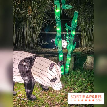 Odyssée Lumineuse, le festival des lumières au Parc Floral - IMG 2450