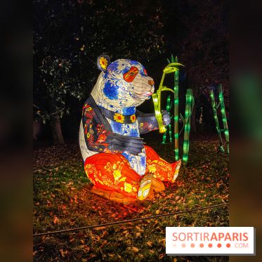 Odyssée Lumineuse, le festival des lumières au Parc Floral - IMG 2451