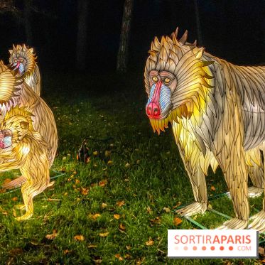 Odyssée Lumineuse, le festival des lumières au Parc Floral