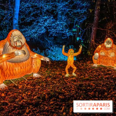 Odyssée Lumineuse, le festival des lumières au Parc Floral - IMG 2457