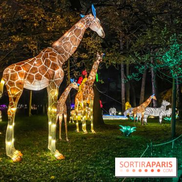 Odyssée Lumineuse, le festival des lumières au Parc Floral