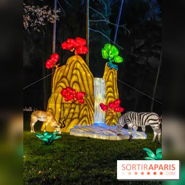 Odyssée Lumineuse, le festival des lumières au Parc Floral - IMG 2462