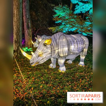 Odyssée Lumineuse, le festival des lumières au Parc Floral - IMG 2463