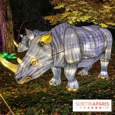 Odyssée Lumineuse, le festival des lumières au Parc Floral - IMG 2464