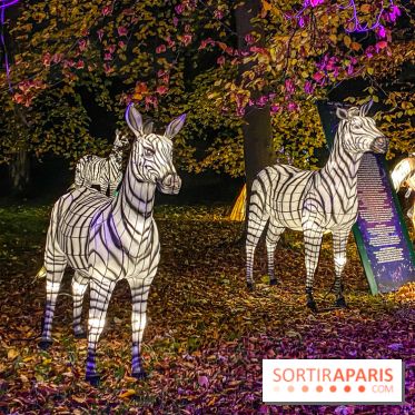 Odyssée Lumineuse, le festival des lumières au Parc Floral - IMG 2465