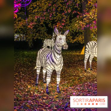 Odyssée Lumineuse, le festival des lumières au Parc Floral - IMG 2466