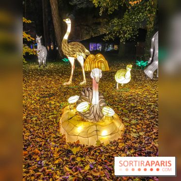 Odyssée Lumineuse, le festival des lumières au Parc Floral