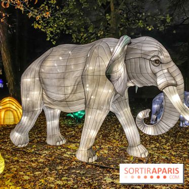 Odyssée Lumineuse, le festival des lumières au Parc Floral