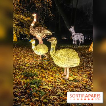 Odyssée Lumineuse, le festival des lumières au Parc Floral